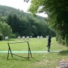 Training