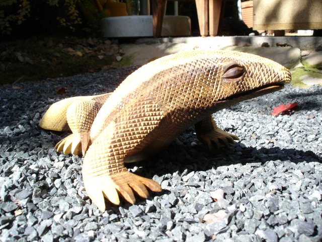 dsc02293
