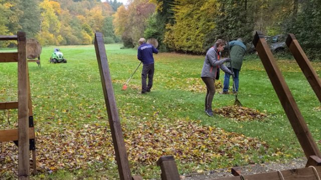 videocapture_20211025-112712_20211030_1528277043
